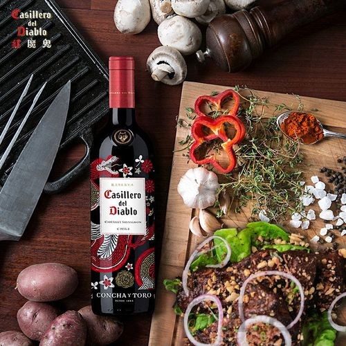 尊龙官方链接入口发布与使用说明